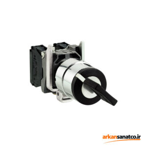 سلکتور سوئیچ اشنایدر Schneider XB4BG21