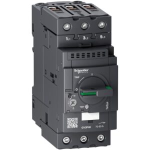 کلید حرارتی اشنایدر Schneider GV3P80